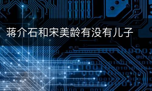 蒋介石和宋美龄有没有儿子