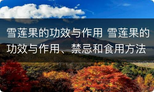 雪莲果的功效与作用 雪莲果的功效与作用、禁忌和食用方法