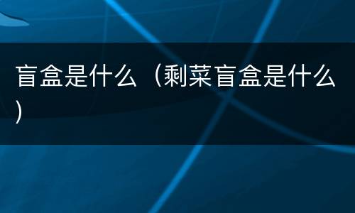 盲盒是什么（剩菜盲盒是什么）