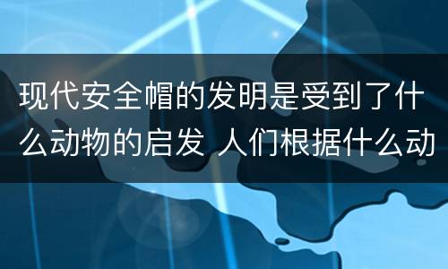 现代安全帽的发明是受到了什么动物的启发 人们根据什么动物发明了新型安全帽