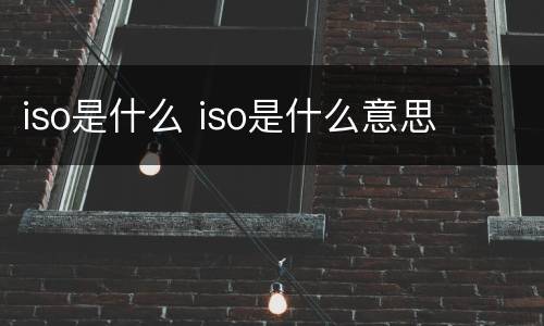 iso是什么 iso是什么意思