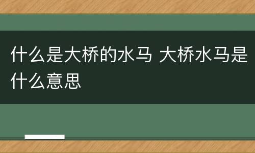 什么是大桥的水马 大桥水马是什么意思
