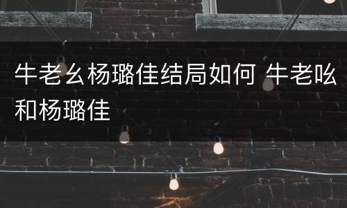 牛老幺杨璐佳结局如何 牛老吆和杨璐佳