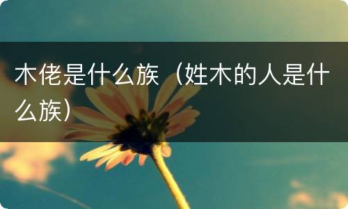 木佬是什么族（姓木的人是什么族）