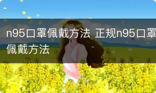 n95口罩佩戴方法 正规n95口罩佩戴方法