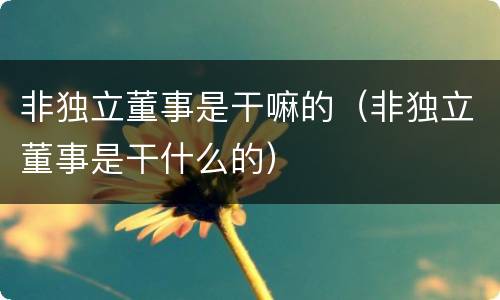 非独立董事是干嘛的（非独立董事是干什么的）