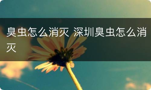 臭虫怎么消灭 深圳臭虫怎么消灭