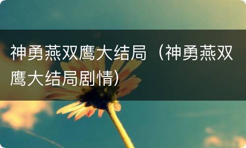 神勇燕双鹰大结局（神勇燕双鹰大结局剧情）