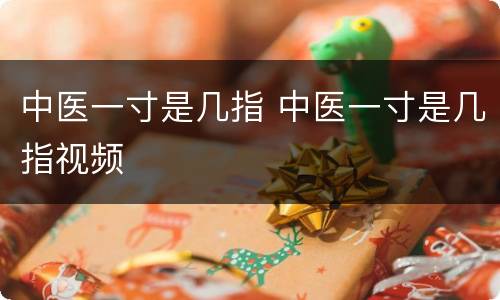 中医一寸是几指 中医一寸是几指视频