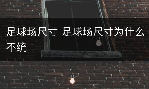 足球场尺寸 足球场尺寸为什么不统一