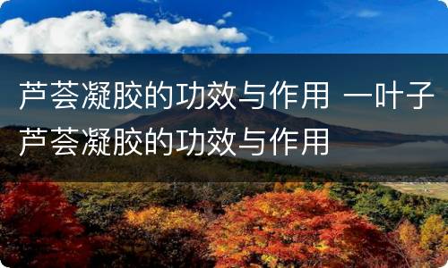 芦荟凝胶的功效与作用 一叶子芦荟凝胶的功效与作用