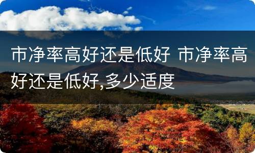 市净率高好还是低好 市净率高好还是低好,多少适度