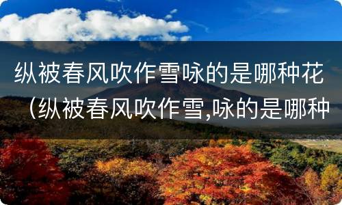 纵被春风吹作雪咏的是哪种花（纵被春风吹作雪,咏的是哪种花）