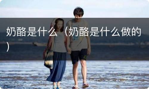奶酪是什么（奶酪是什么做的）