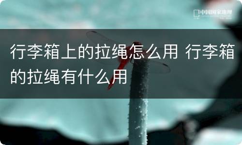 行李箱上的拉绳怎么用 行李箱的拉绳有什么用