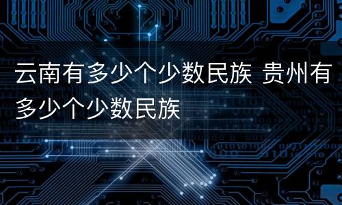 云南有多少个少数民族 贵州有多少个少数民族
