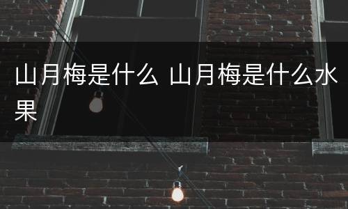 山月梅是什么 山月梅是什么水果