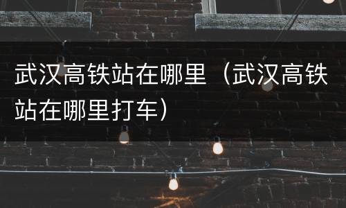 武汉高铁站在哪里（武汉高铁站在哪里打车）