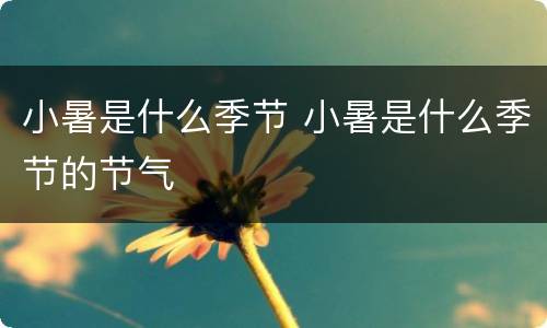 小暑是什么季节 小暑是什么季节的节气