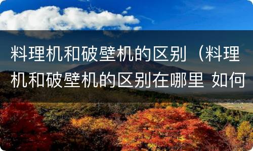 料理机和破壁机的区别（料理机和破壁机的区别在哪里 如何选购破壁机）