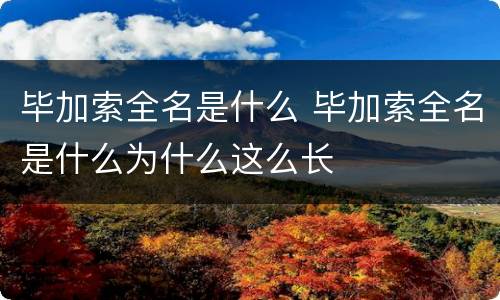 毕加索全名是什么 毕加索全名是什么为什么这么长