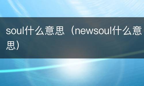 soul什么意思（newsoul什么意思）