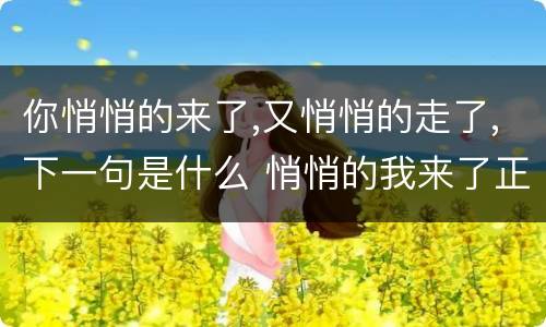 你悄悄的来了,又悄悄的走了,下一句是什么 悄悄的我来了正如我悄悄的走下一句