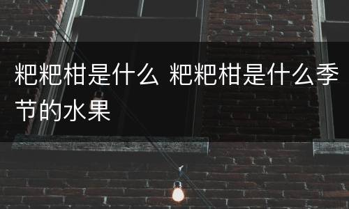 粑粑柑是什么 粑粑柑是什么季节的水果