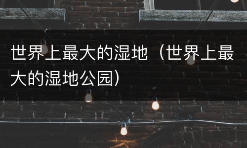 世界上最大的湿地（世界上最大的湿地公园）