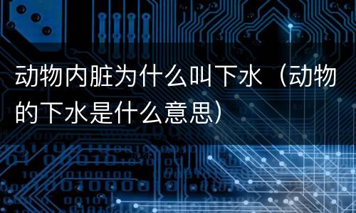 动物内脏为什么叫下水（动物的下水是什么意思）