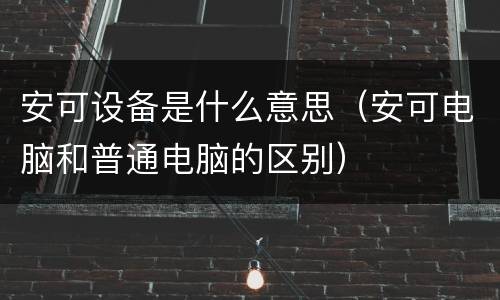 安可设备是什么意思（安可电脑和普通电脑的区别）