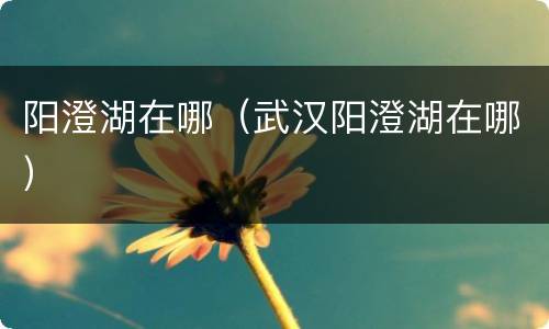 阳澄湖在哪（武汉阳澄湖在哪）