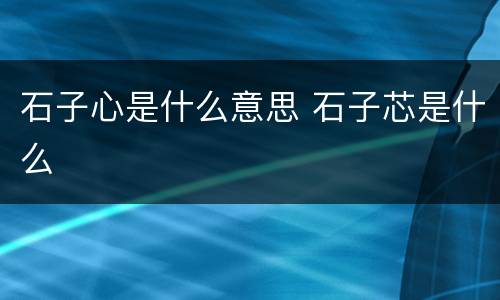 石子心是什么意思 石子芯是什么
