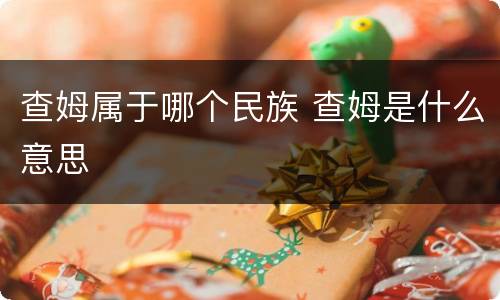查姆属于哪个民族 查姆是什么意思