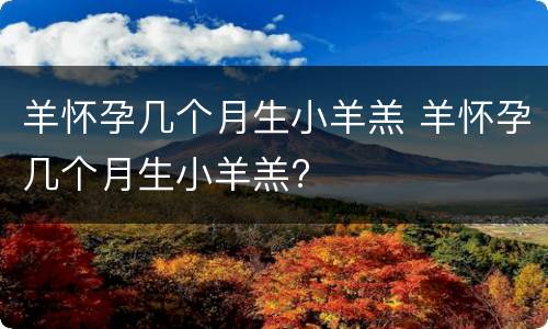 羊怀孕几个月生小羊羔 羊怀孕几个月生小羊羔?