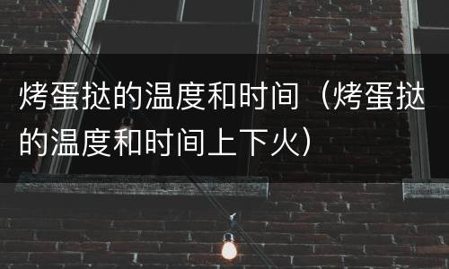 烤蛋挞的温度和时间（烤蛋挞的温度和时间上下火）