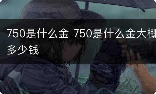 750是什么金 750是什么金大概多少钱