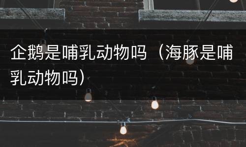 企鹅是哺乳动物吗（海豚是哺乳动物吗）
