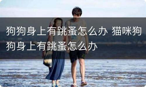 狗狗身上有跳蚤怎么办 猫咪狗狗身上有跳蚤怎么办