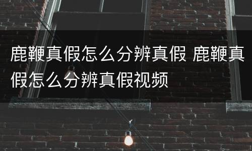 鹿鞭真假怎么分辨真假 鹿鞭真假怎么分辨真假视频