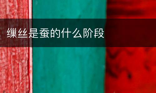 缫丝是蚕的什么阶段