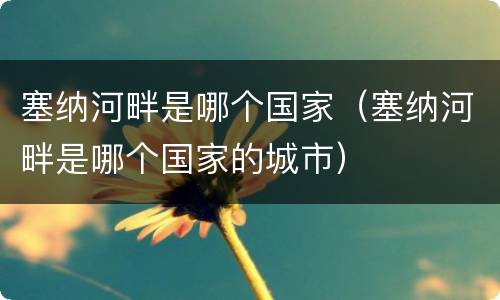 塞纳河畔是哪个国家（塞纳河畔是哪个国家的城市）