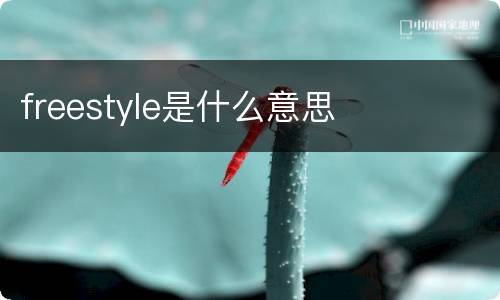 freestyle是什么意思
