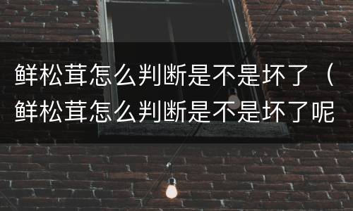 鲜松茸怎么判断是不是坏了（鲜松茸怎么判断是不是坏了呢）