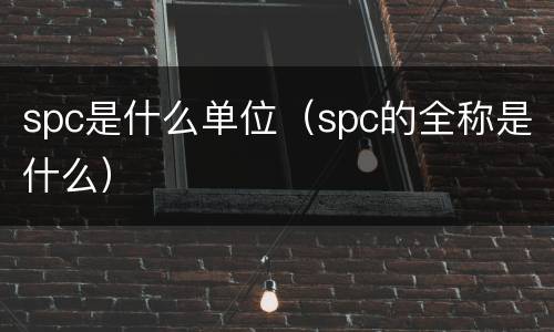 spc是什么单位（spc的全称是什么）