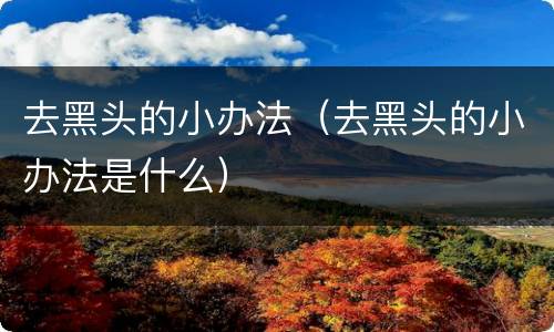 去黑头的小办法（去黑头的小办法是什么）