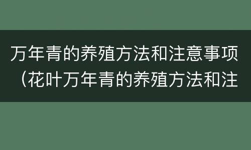万年青的养殖方法和注意事项（花叶万年青的养殖方法和注意事项）