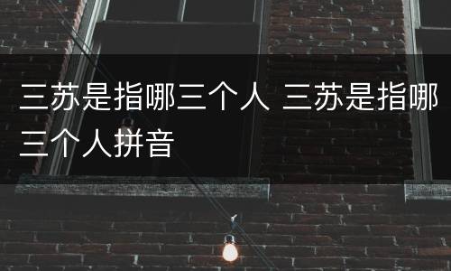 三苏是指哪三个人 三苏是指哪三个人拼音