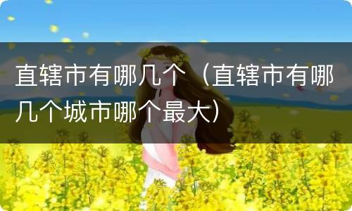 直辖市有哪几个（直辖市有哪几个城市哪个最大）