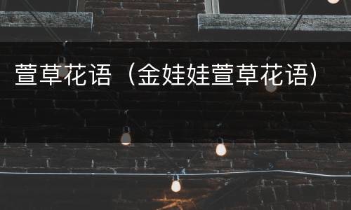萱草花语（金娃娃萱草花语）